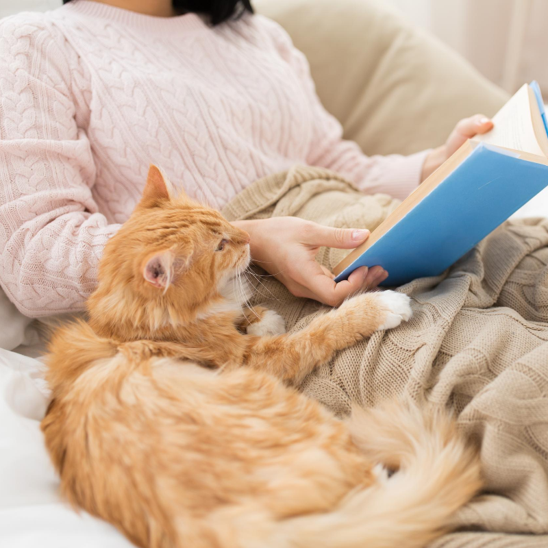 Person Snuggled with Orange Cat While Reading